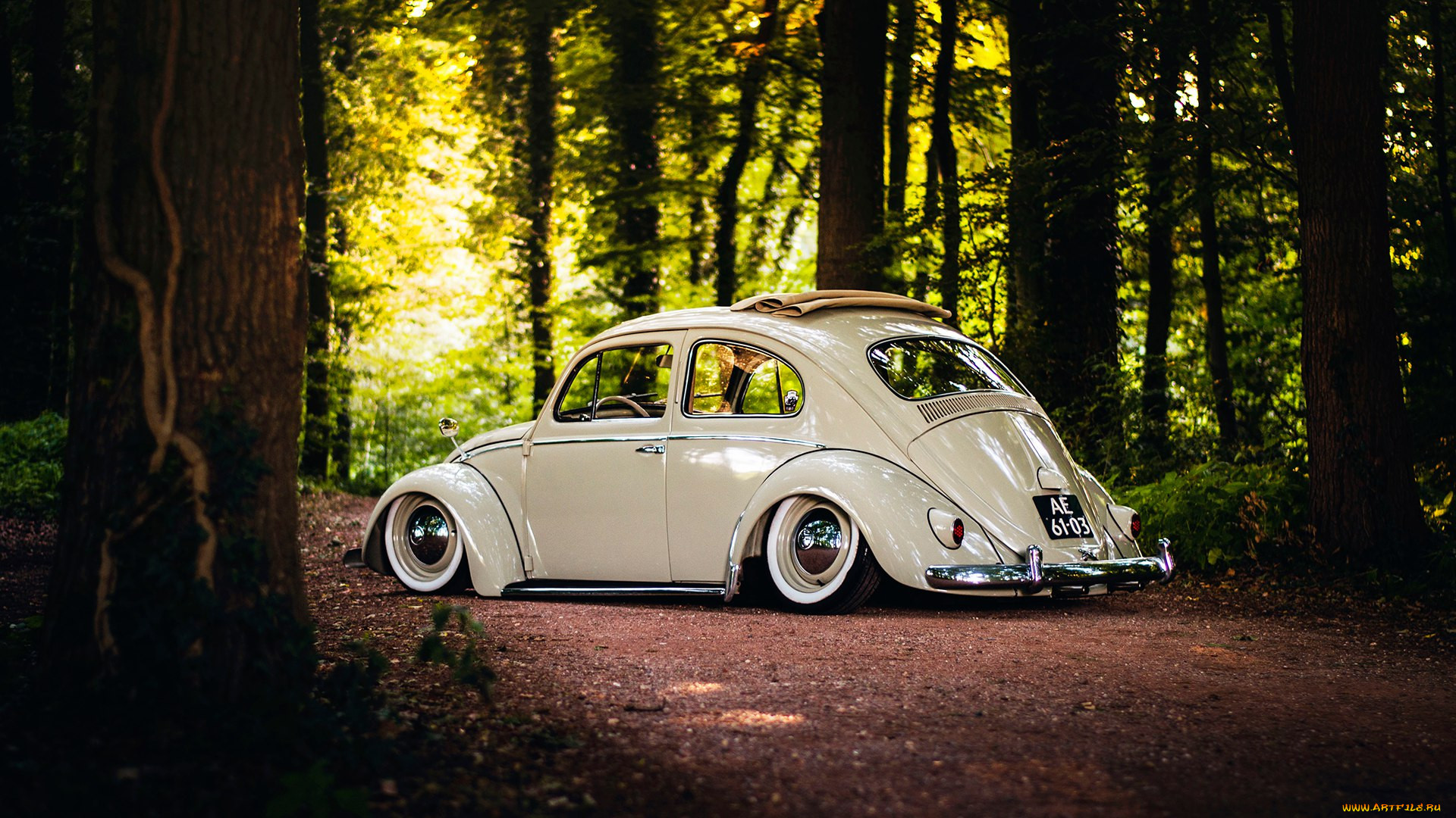, volkswagen, beetle